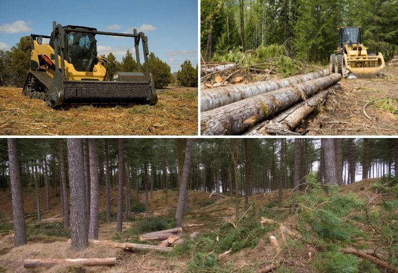 Débroussaillage forestier et défrichage